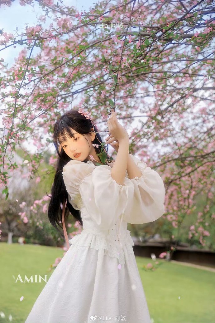 走向共和 封面